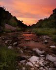 Dinosaur Valley State Park