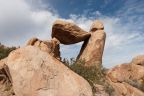 Big Bend & Caprock Canyons